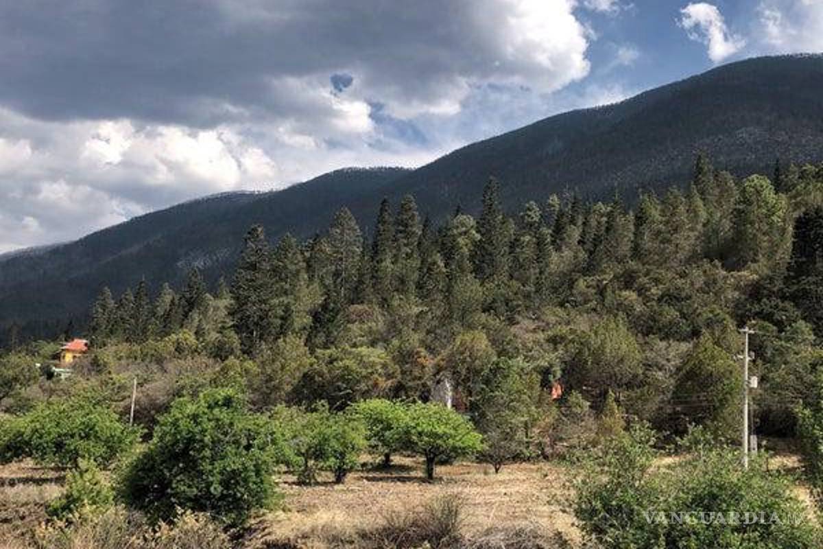 Controla bomberos de Arteaga incendio en Los Lirios