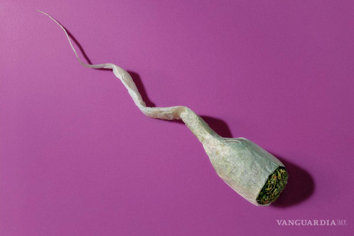 Fumar marihuana podría afectar tu esperma y tu capacidad de tener hijos