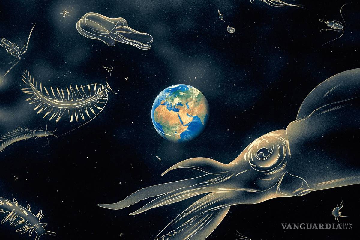 Hay una nueva razón para salvar la vida en las profundidades marinas