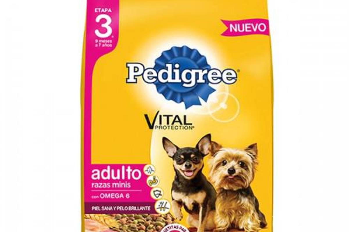 $!¿Pro Plan, Campeón o Dog Chow?... según Profeco, estas son las peores marcas de croquetas y las más dañinas para tu perro