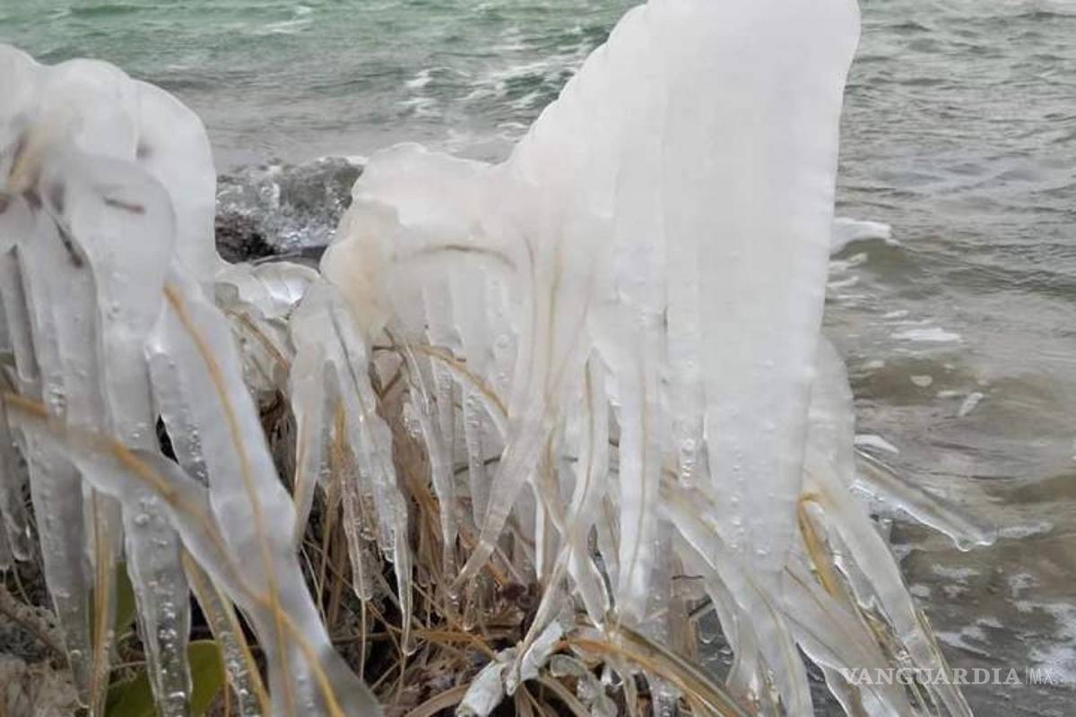 Ocho grados bajo cero dejó hielo en Cuatro Ciénegas
