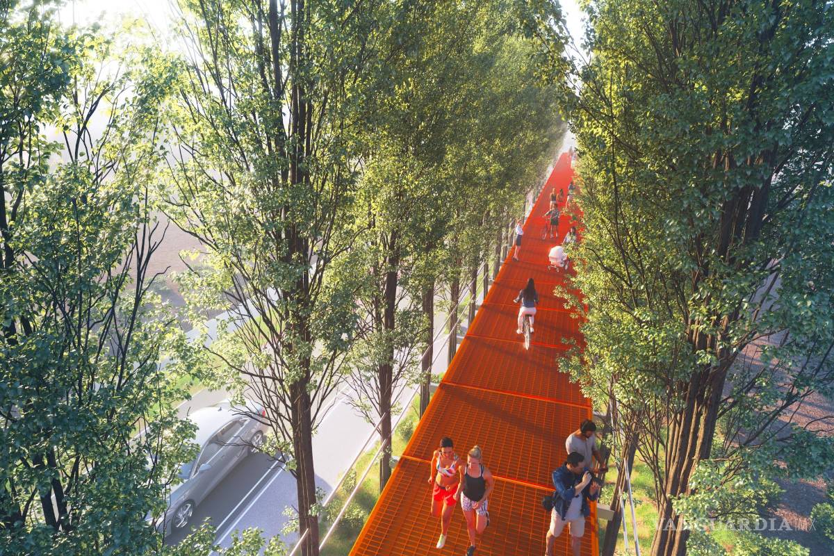 $!El ‘Camino de los Árboles’, visto desde arriba.