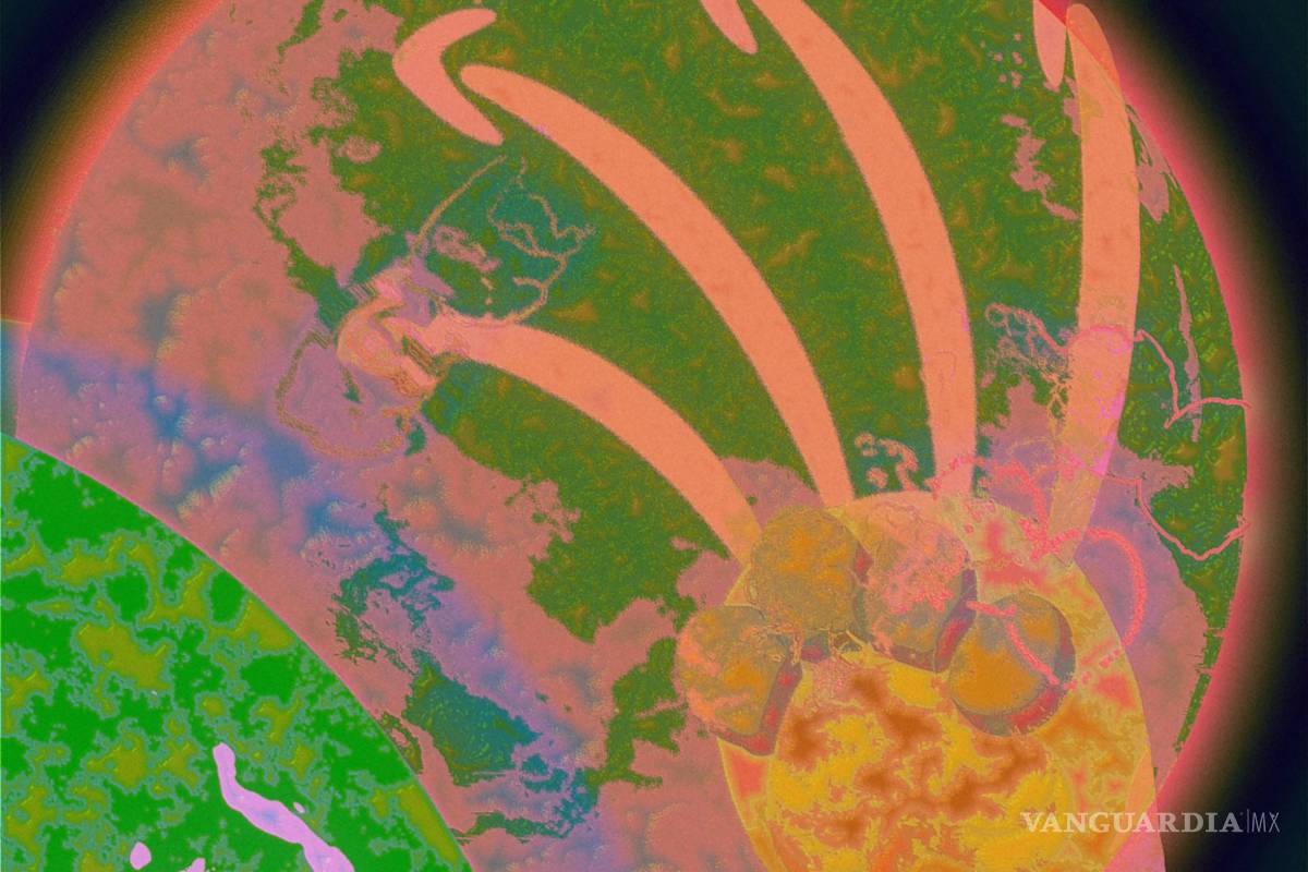 No alcanza globalización a los comercios en línea, sostienen expertos