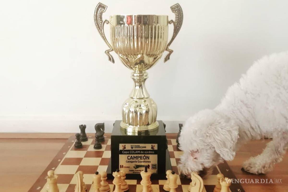Invitan a la Copa Colam de ajedrez