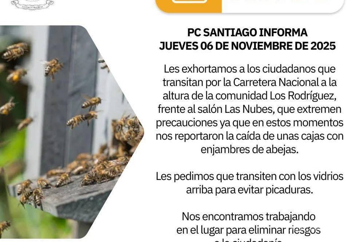 Jumanji regio: automovilistas de Nuevo León en riesgo de ataque de abejas