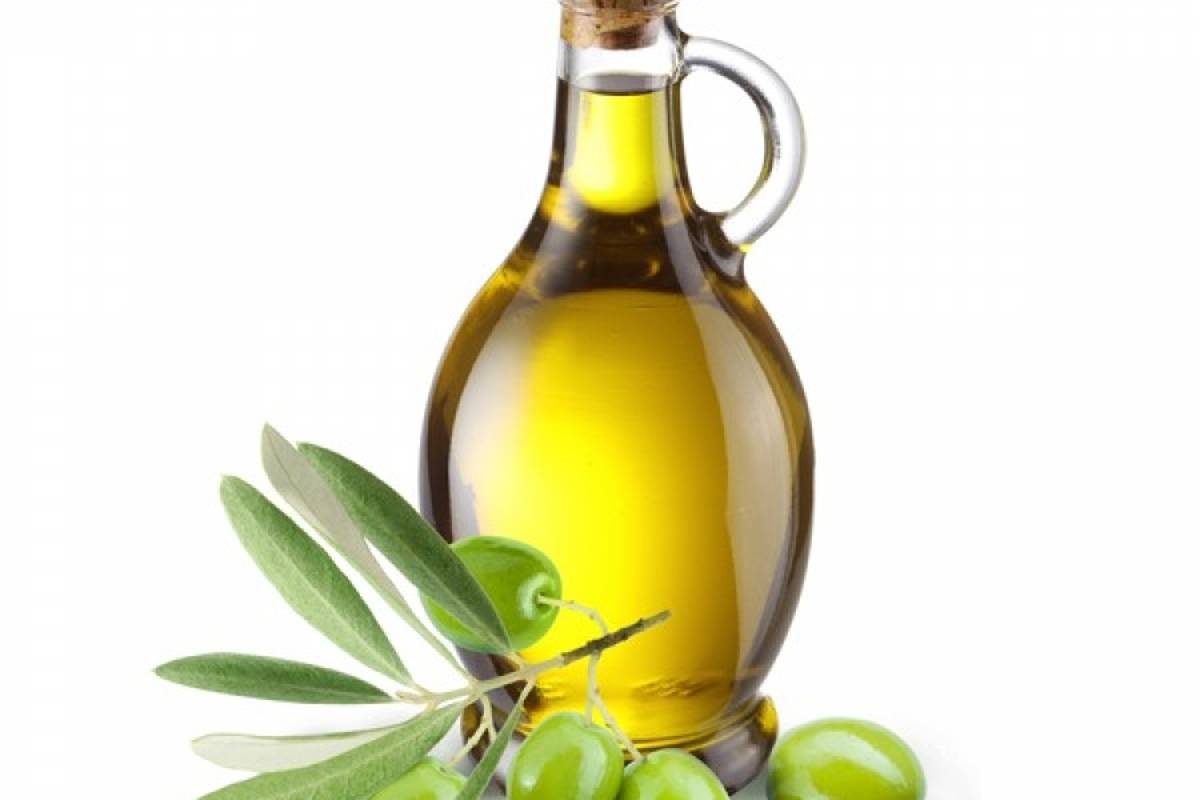 En Coahuila se producirá aceite 100% puro de oliva