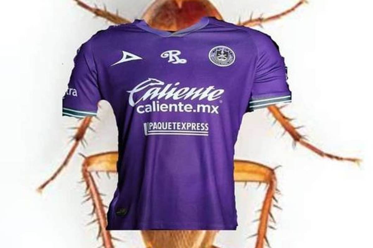 Los memes de la derrota del Mazatlán con cucarachas incluidas