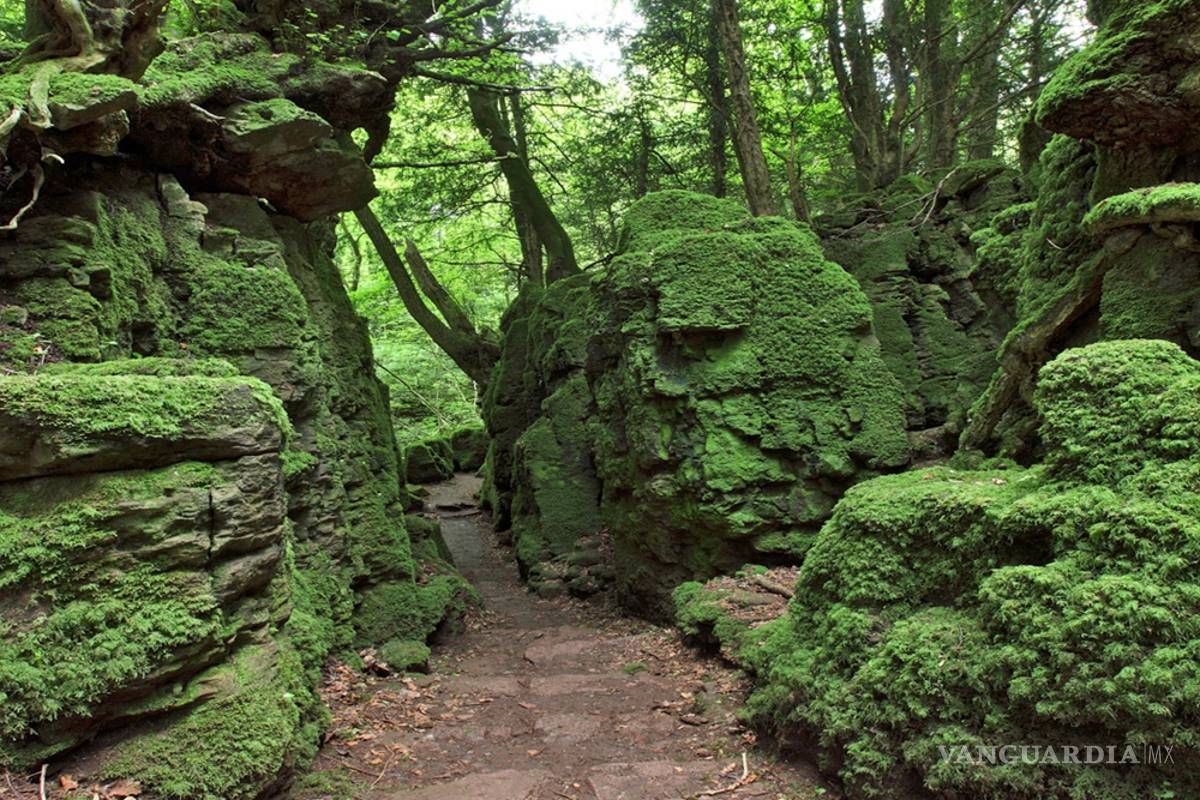 $!Haga un viaje mágico siguiendo los pasos de Harry Potter en Gran Bretaña