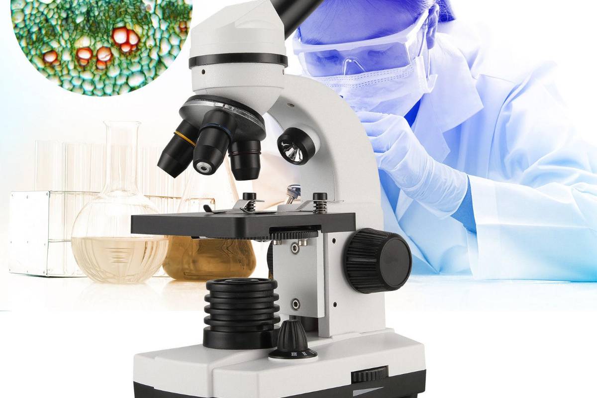 Suman 244 investigadores de la Universidad Autónoma de Coahuila avalados por el Conacyt