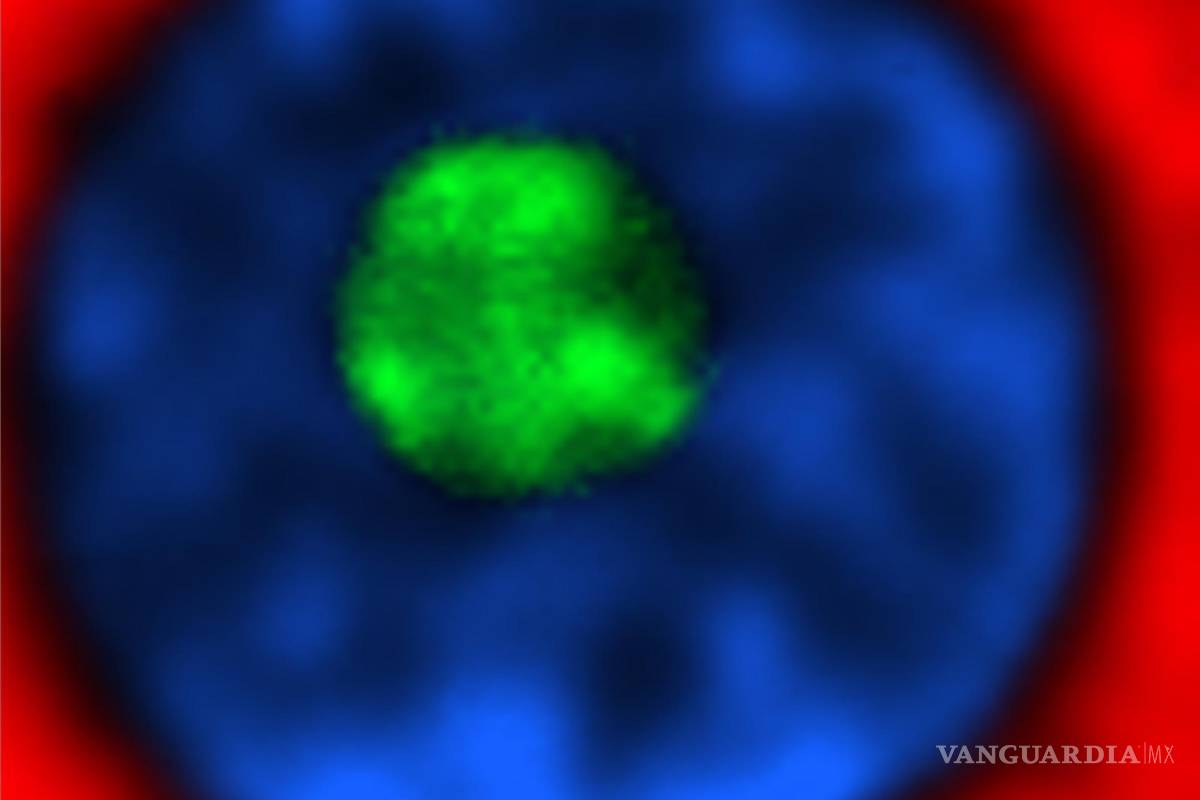 $!Núcleo líquido de una fibra en color verde fosforescente.