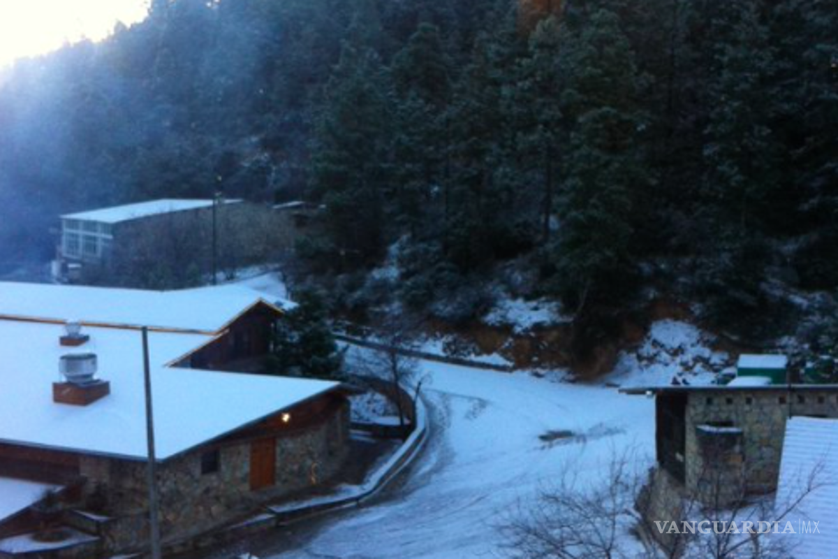 $!Reportan primera nevada en la Sierra de Arteaga