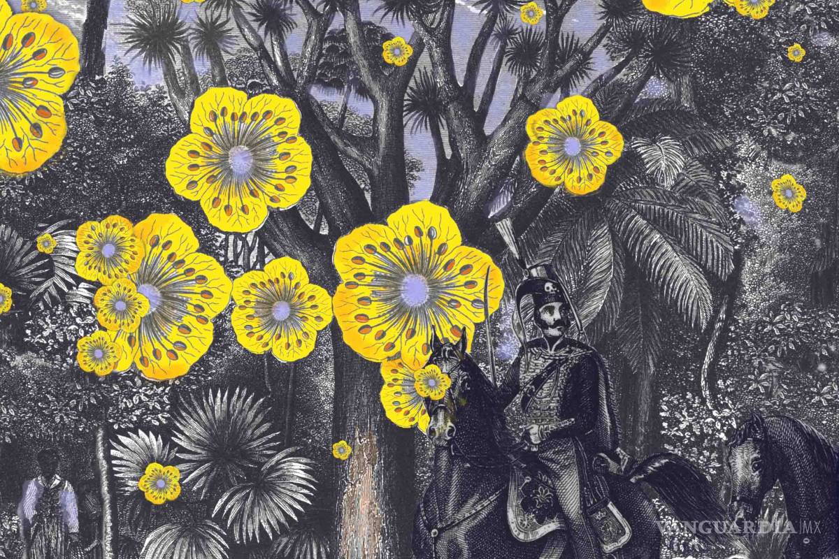 100 años de Soledad celebra medio siglo