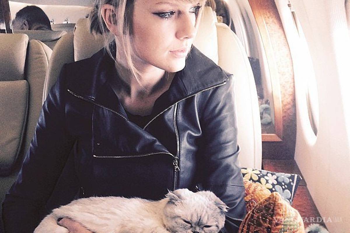 Taylor Swift busca una nueva mascota en detrás de cámaras
