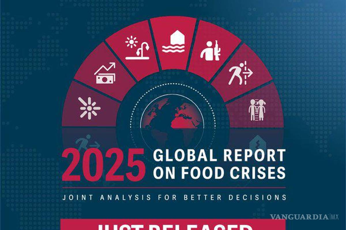 Un informe revela que inseguridad alimentaria aguda afectó a 295 millones de personas de 53 países en 2024