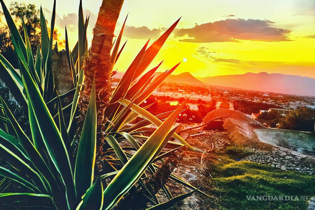 Ciudades que me habitan