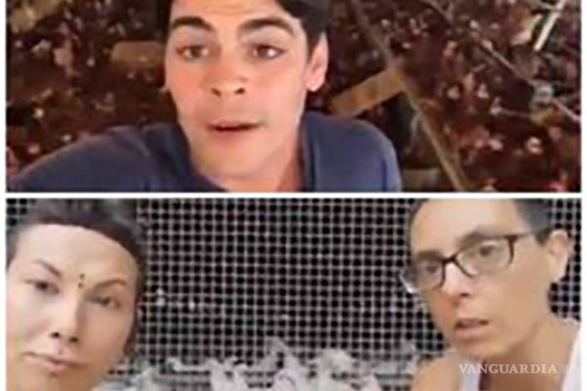 Los gallos no violan a las gallinas, ganadero contesta a veganas