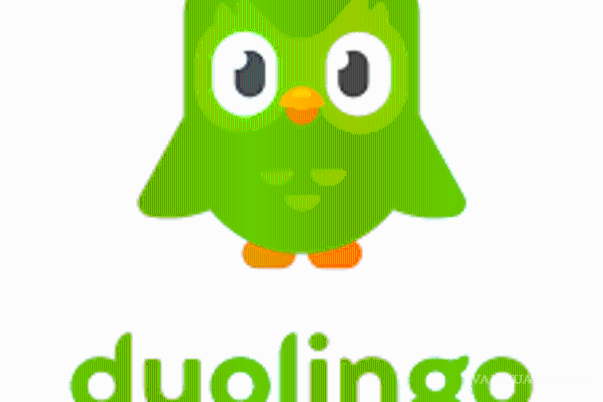 $!¿Teams, Classroom y Zoom? Estas son las apps escolares más recomendadas por Profeco para el regreso a clases 2025