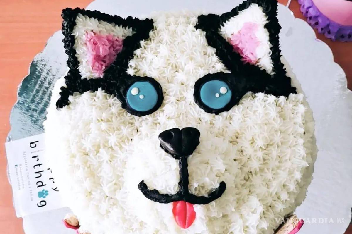 Saltillo: happy birth... ¿dog? Para pagarse estudios, joven vende pasteles para mascotas