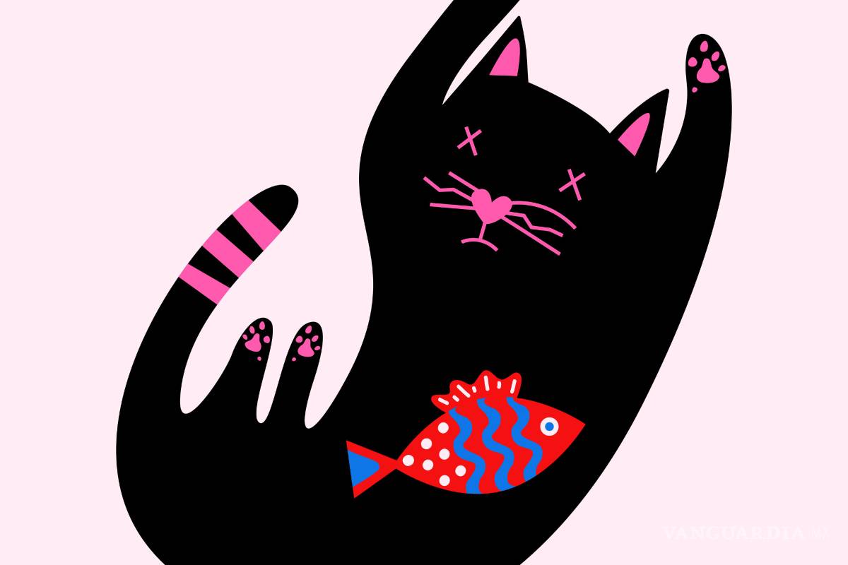 La política del lugar