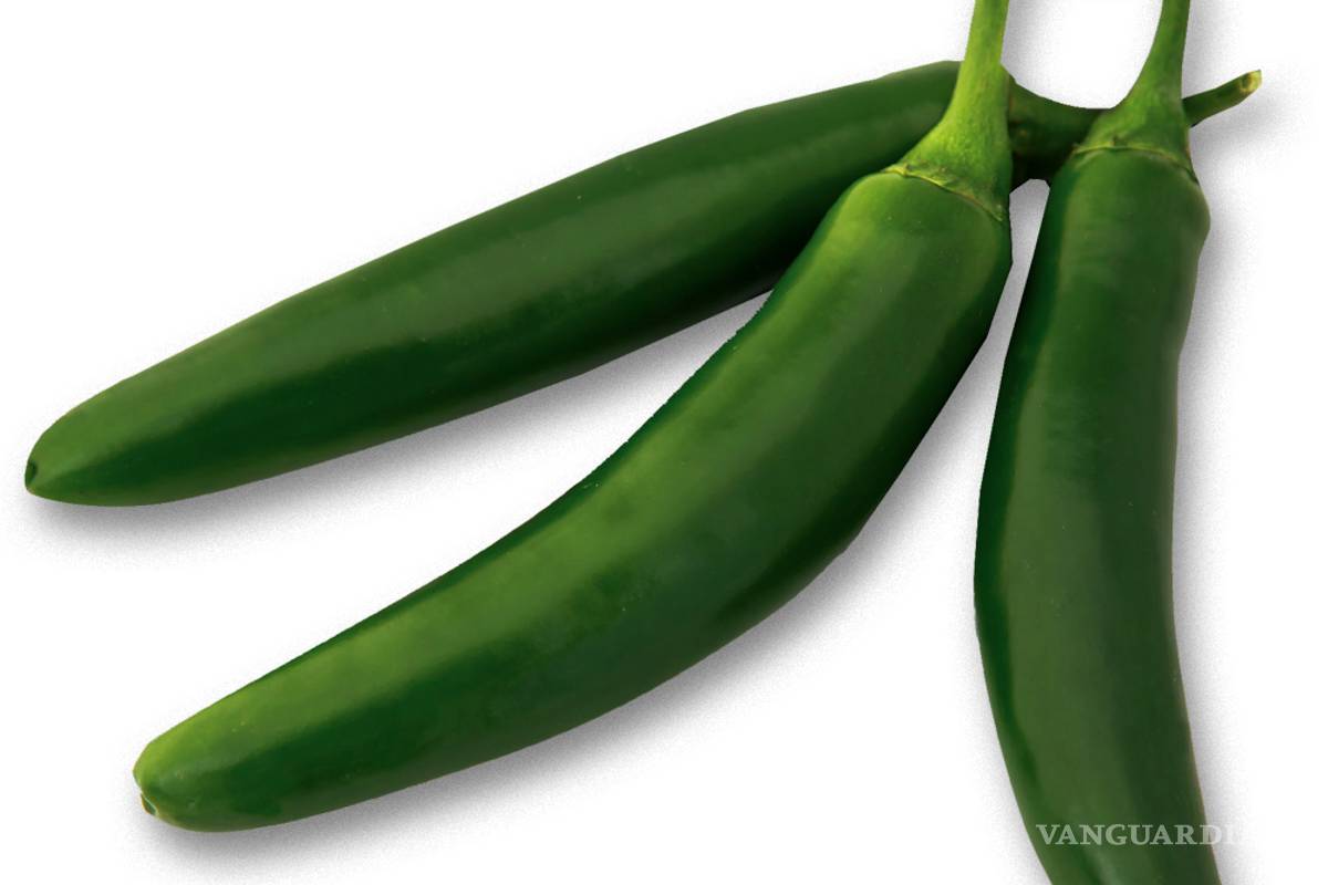 Estudia UNAM enzimas del chile para fármacos