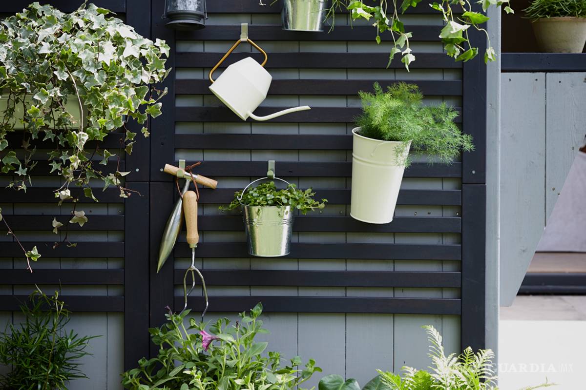 $!¿Te gustaría consumir productos naturales y cuidar el medio ambiente? ¡Haz tu propio huerto en casa!