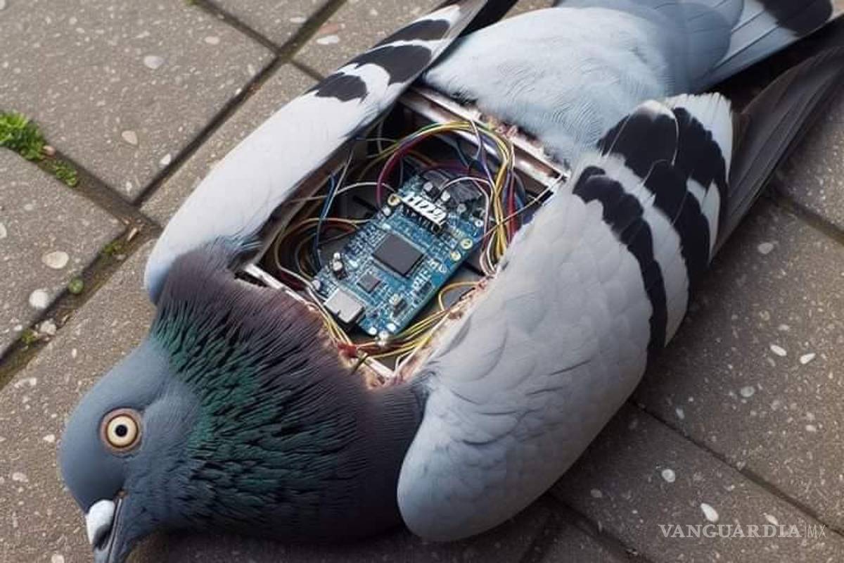 ¿Espionaje en Parras? Como en Black Mirror, encuentra empleado paloma mecanizada y policía lo ignora