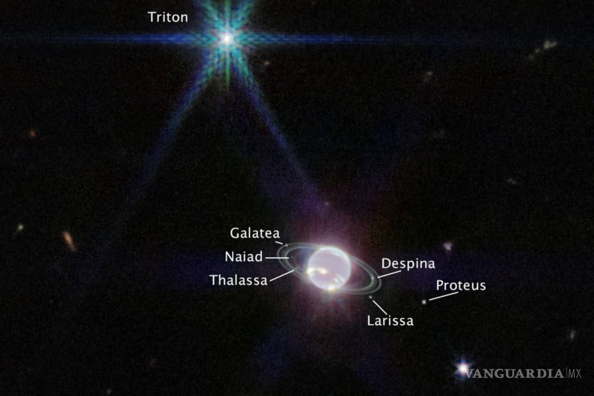 $!Imagen captada por la cámara de infrarroja del Telescopio Espacial James Webb de Neptuno, las lunas visibles del planeta están etiquetadas.