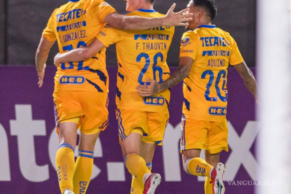 Llega ‘Acceso Tigres’ a afizzionados