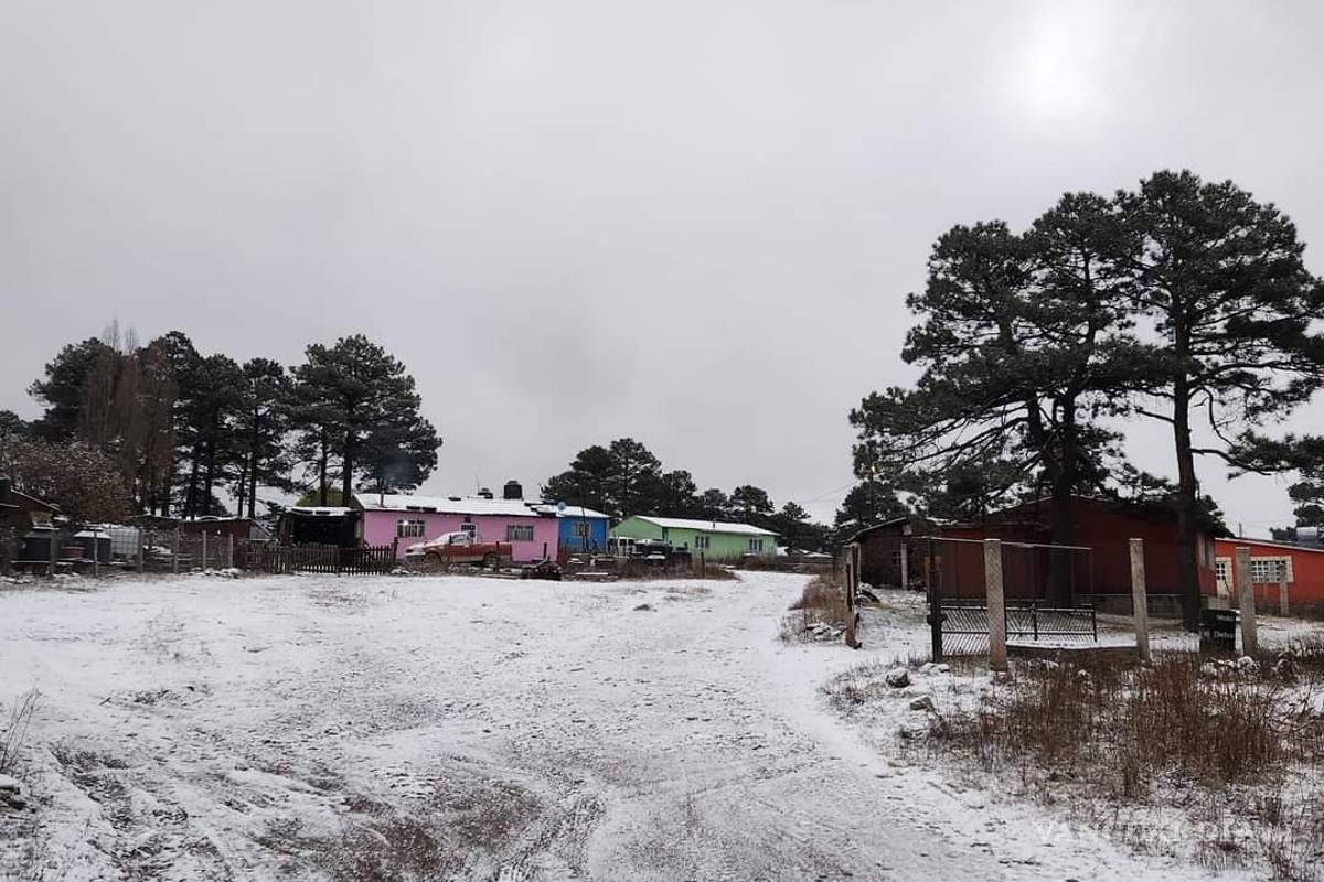 Nieve llegó a Chihuahua y Durango, tormenta invernal afecta territorios altos (fotos)