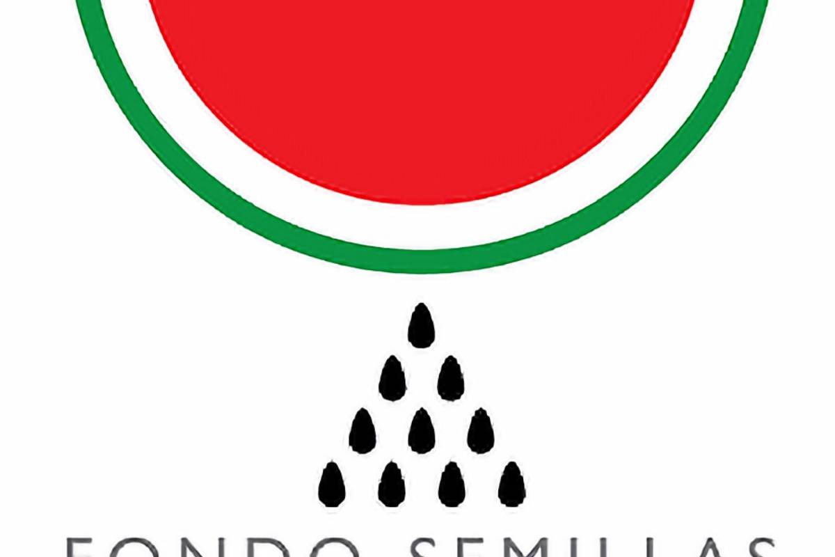 Fondo Semillas lanza la campaña ‘Libres para Ser’ que busca erradicar la violencia de género en México