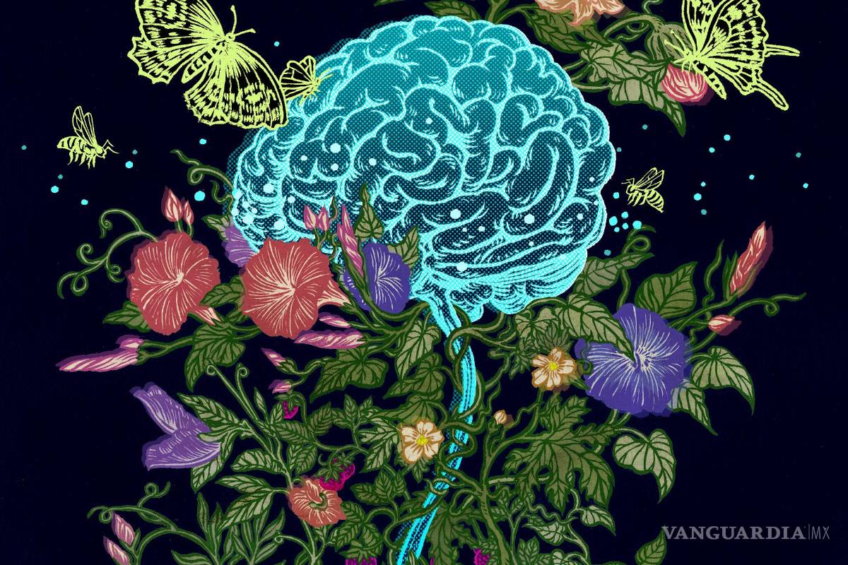 Las hormonas sexuales son hormonas cerebrales y podrían ayudar a tratar el cerebro