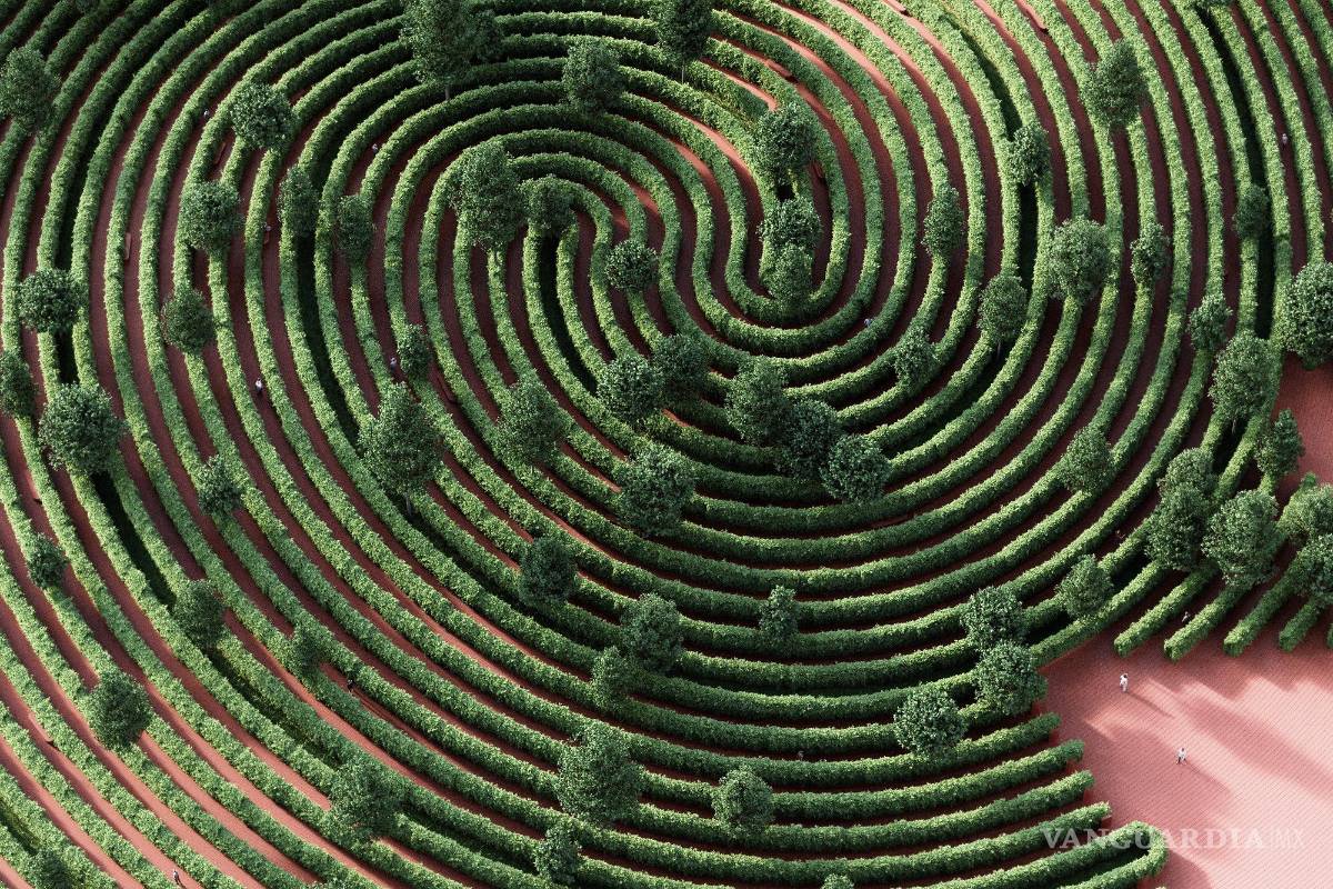 ¿Sabías que la soledad afecta a una de cada 6 personas en el mundo?