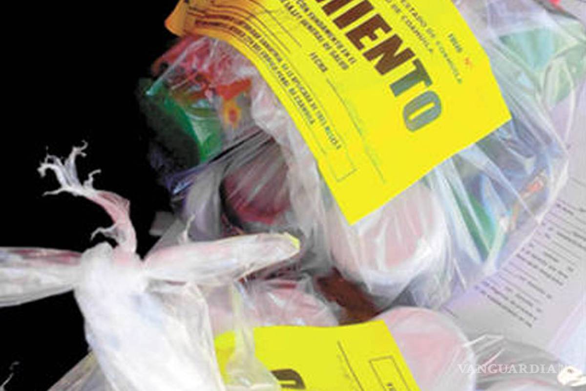 Incautan en cruceros de Saltillo pomadas de peyote