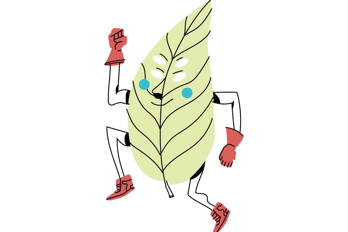 Alcohol, celulares, partidos y accidentes