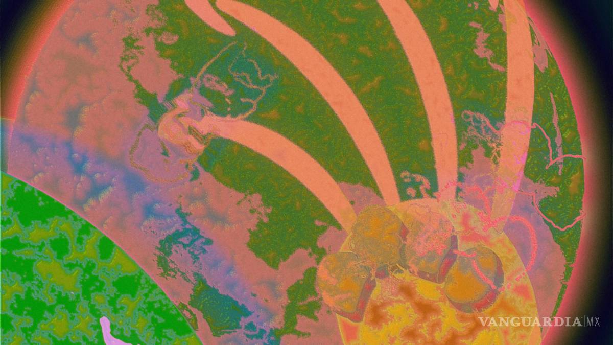 No alcanza globalización a los comercios en línea, sostienen expertos