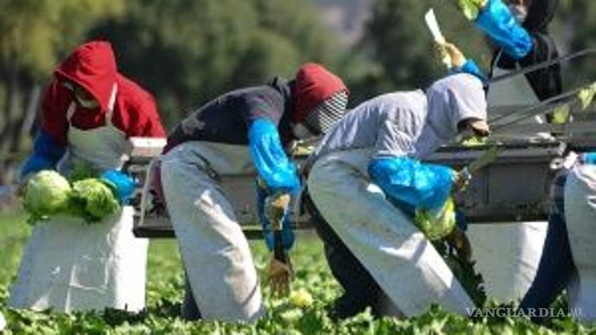 Industria agroalimentaria, 'fábrica gigante de nuevos virus', advierten