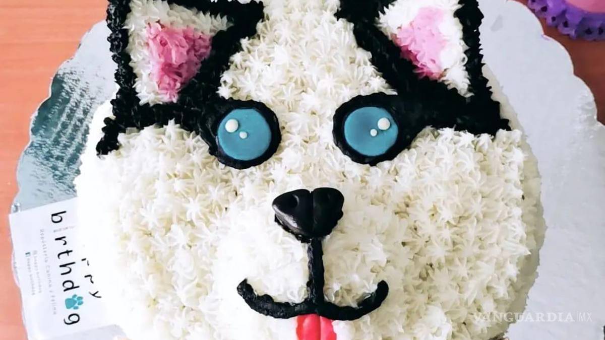 Saltillo: happy birth... ¿dog? Para pagarse estudios, joven vende pasteles para mascotas