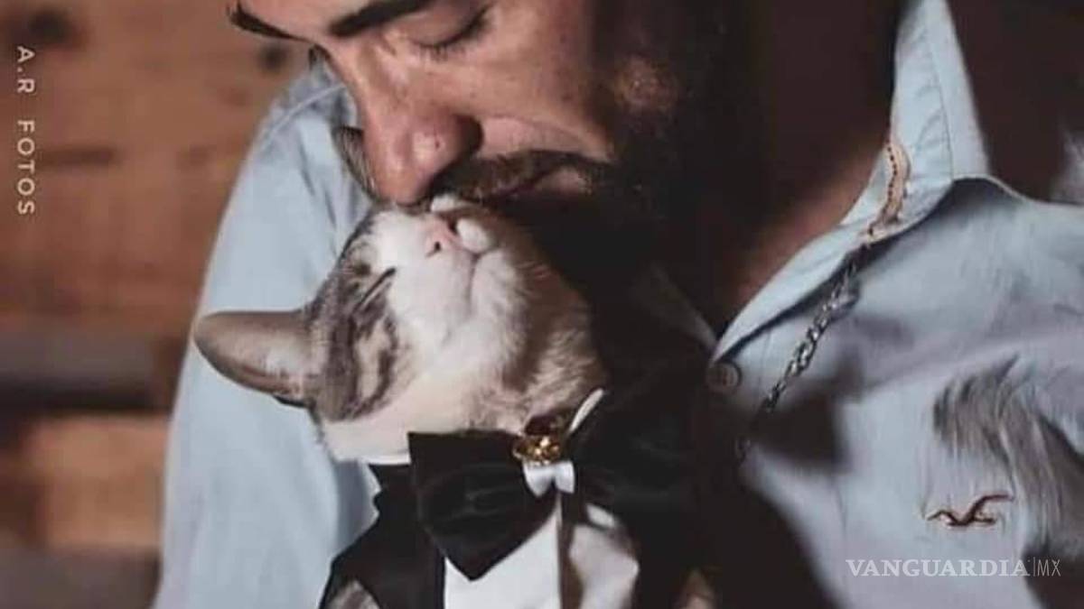 Muere envenenado el ‘gatito mochilero’; su humano, inconsolable