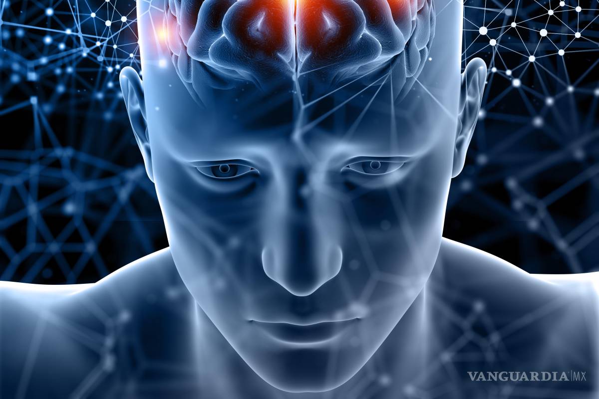 $!El cerebro no espera a que suceda la experiencia para responder; se prepara con anticipación.