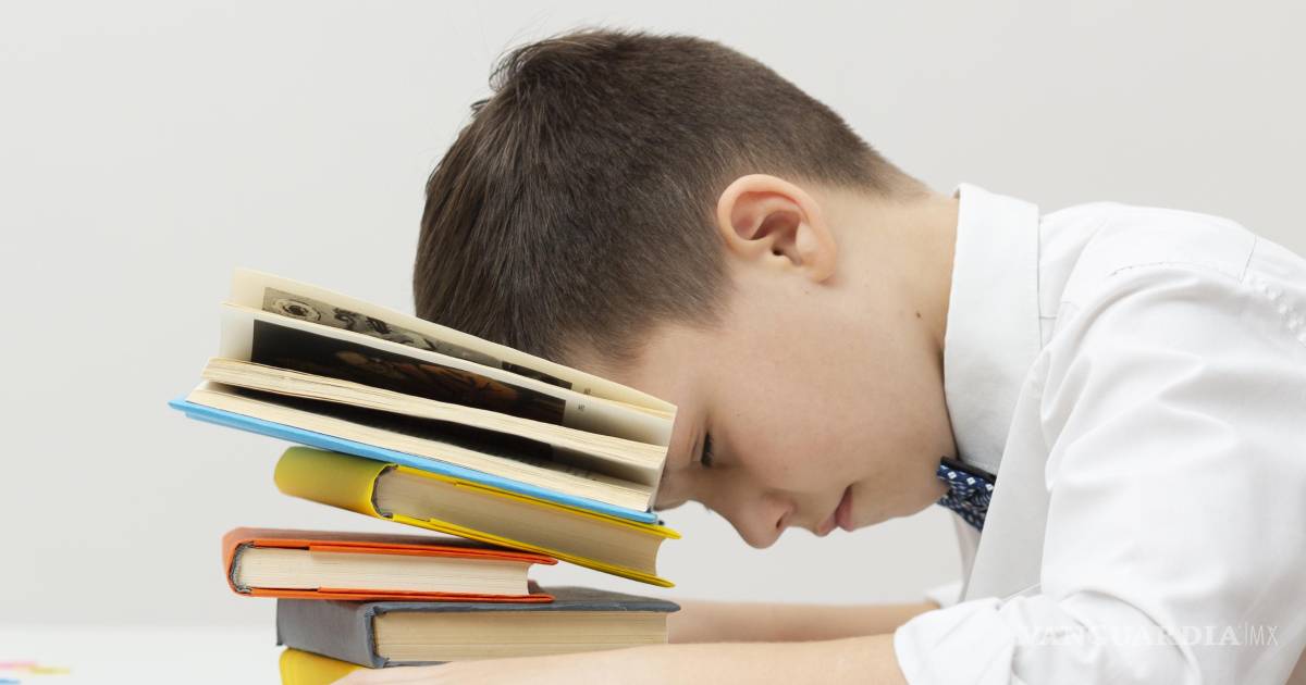 Docente con 26 años de experiencia revela cómo lograr una mejor productividad escolar