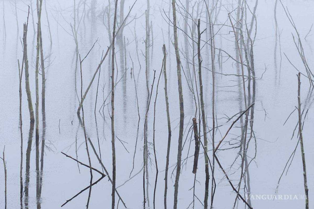 $!Lo mejor del metal extremo (y más) en el 2021