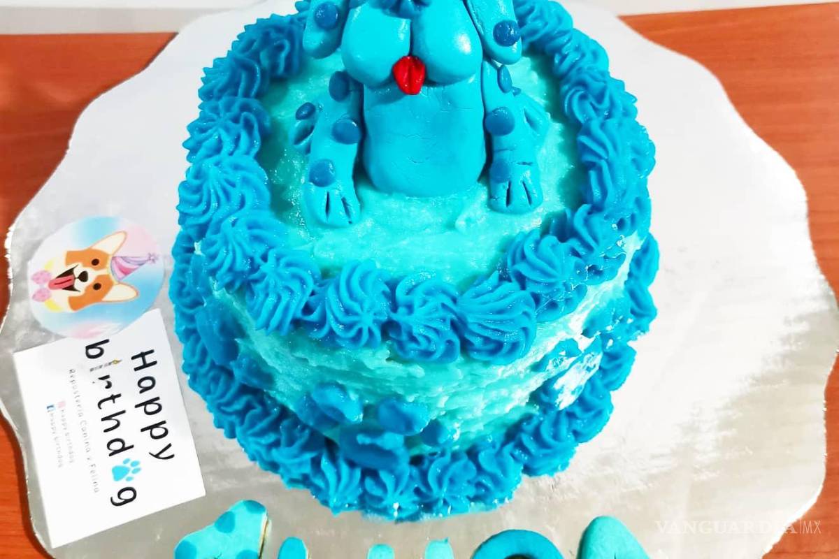 Saltillo: happy birth... ¿dog? Para pagarse estudios, joven vende pasteles para mascotas