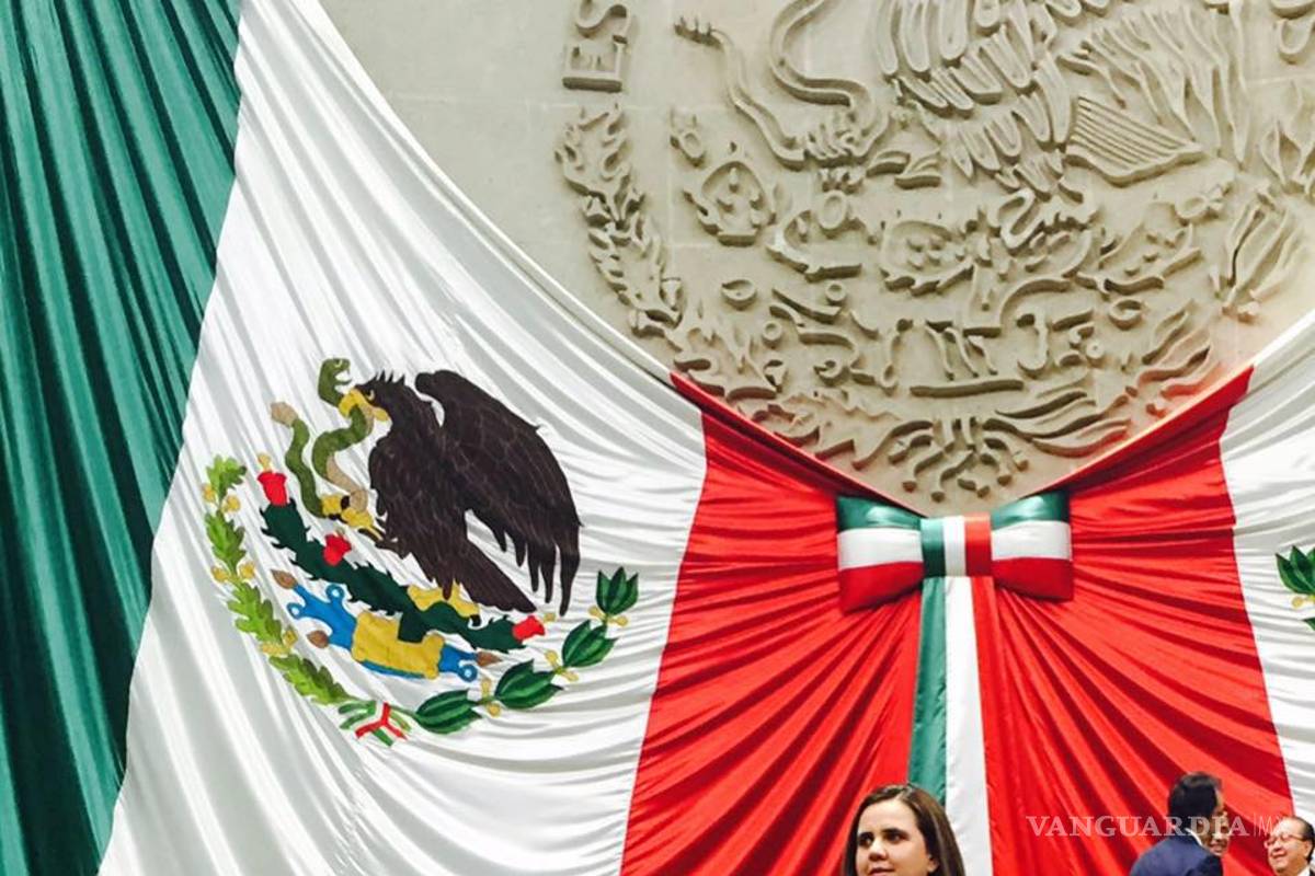 Exige diputada recursos para reforzamiento de prevención del virus del Zika