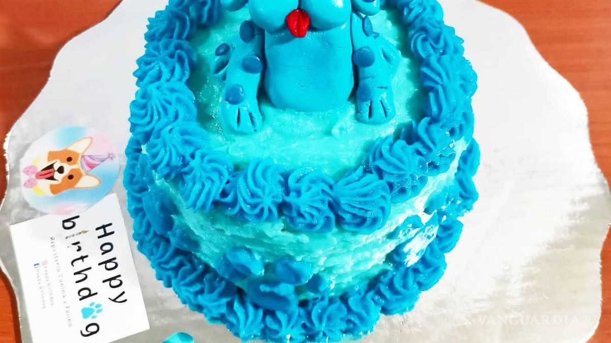 Saltillo: happy birth... ¿dog? Para pagarse estudios, joven vende pasteles para mascotas