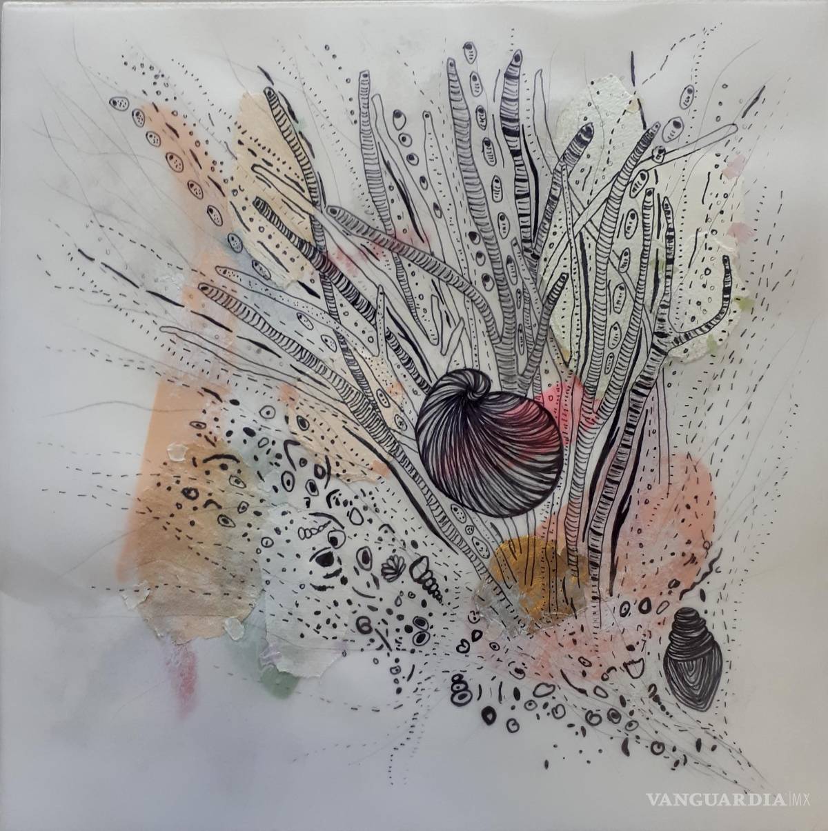 $!Lítica: Un encuentro con la tierra en Casa la Besana