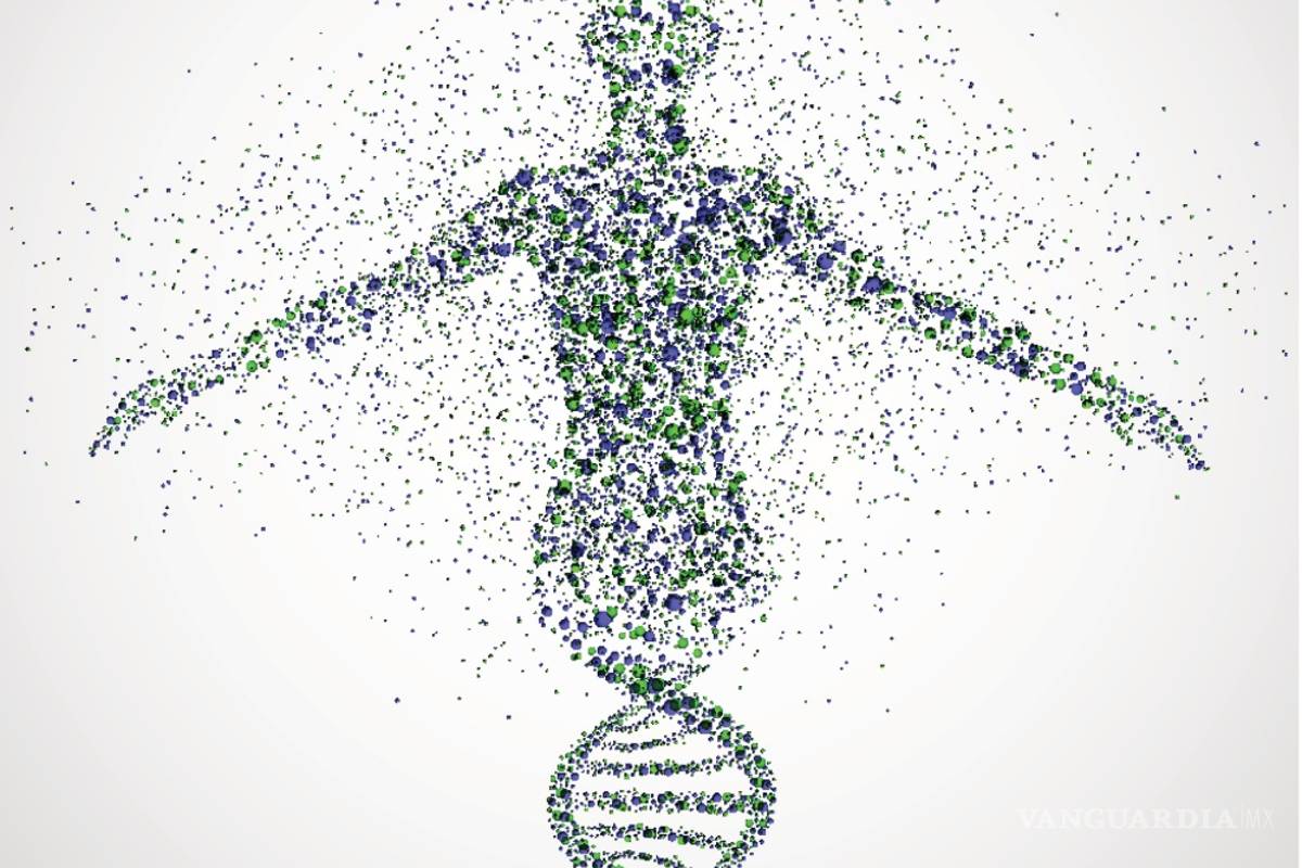 Manipulan investigadores británicos el genoma humano en embriones