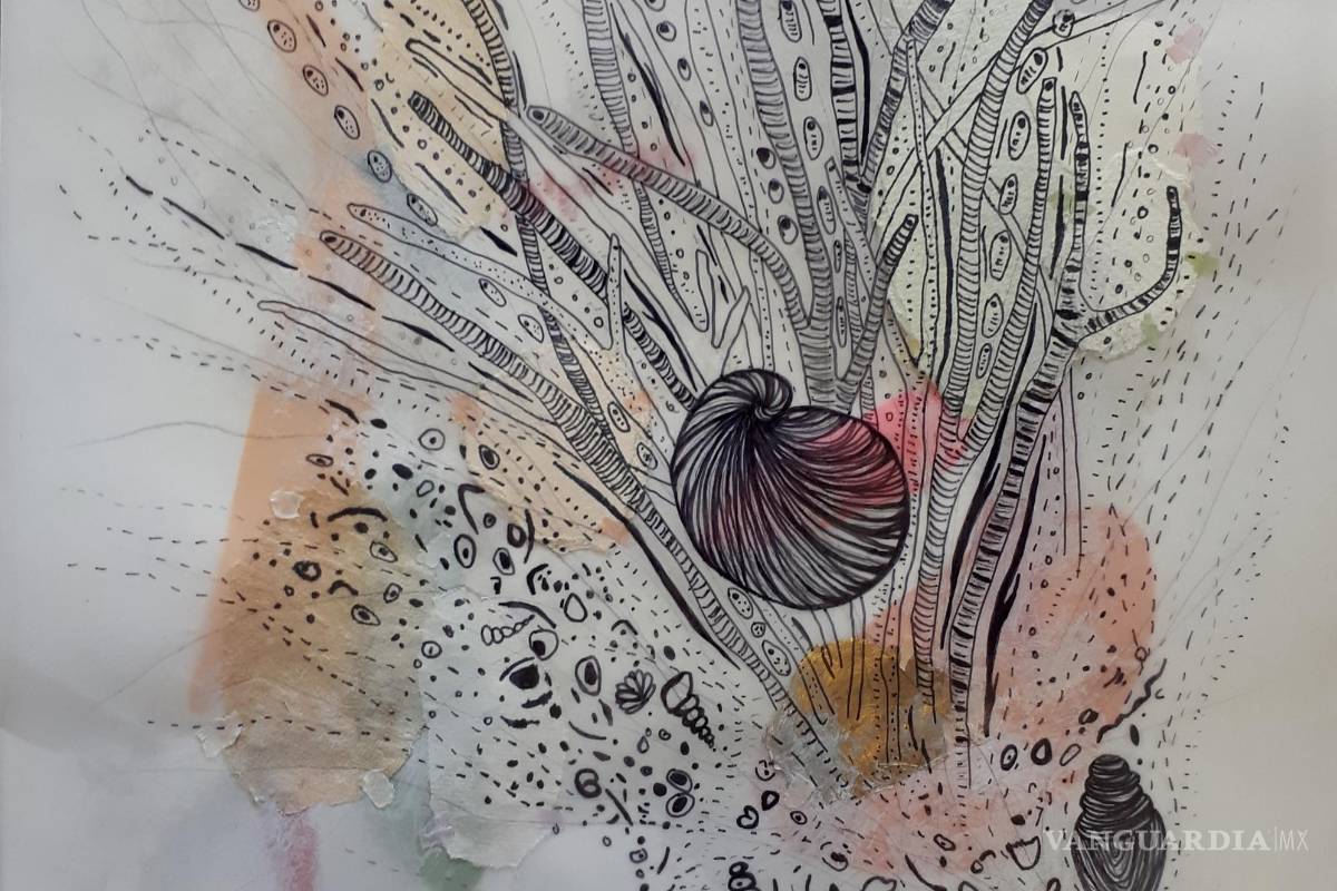 $!Lítica: Un encuentro con la tierra en Casa la Besana