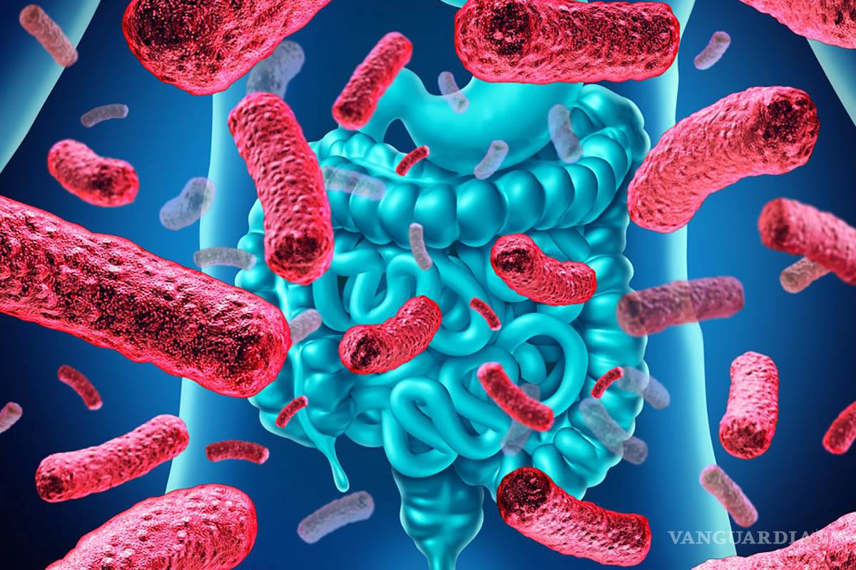 $!Científicos mexicanos estudian en menores obesos el efecto de la fibra en el equilibrio de glucosa