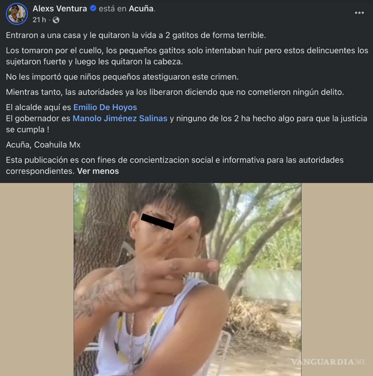 $!Investigan en Acuña ataque contra dos gatitos; menores de 13 y 14 años estarían involucrados