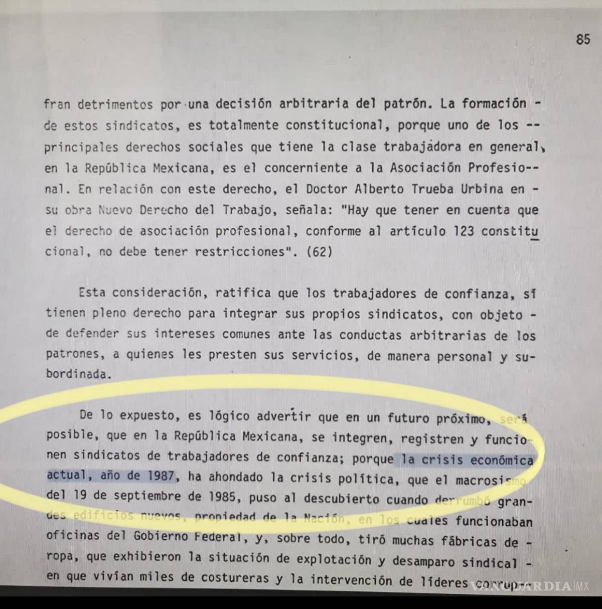 $!Tesis de Yasmín Esquivel.